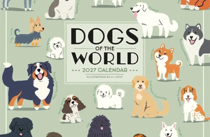 Dogs Of The World Mini Calendar 2027