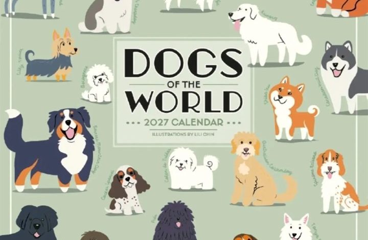 Dogs Of The World Calendar 2027