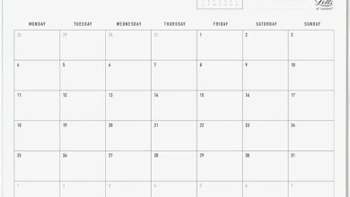Conscious Sage Calendar 2027