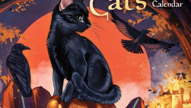 Llewellyn's Magical Mystical Cats Calendar 2027