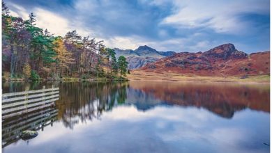 Scenic England Family Organiser 2027