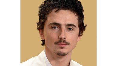 Timothee Chalamet A3 Calendar 2027