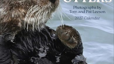 Sea Otters Calendar 2027