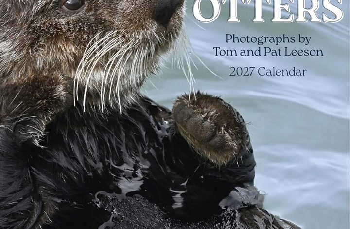 Sea Otters Calendar 2027