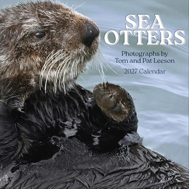 Sea Otters Calendar 2027