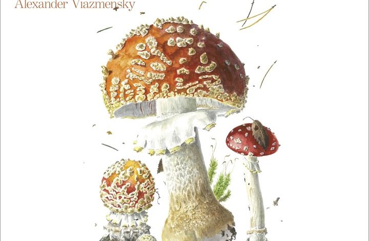 Alexandar Viazmensky