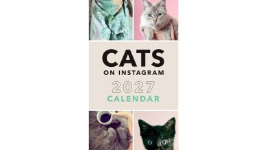 Cats On Instagram Slim Calendar 2027