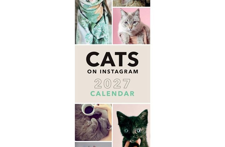 Cats On Instagram Slim Calendar 2027