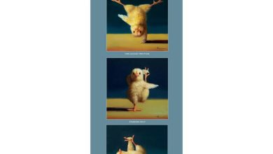 Yoga Chicks Slim Calendar 2027