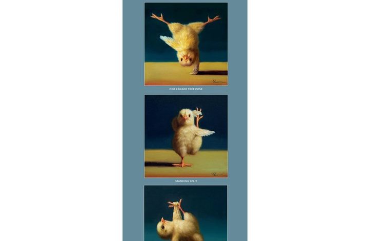 Yoga Chicks Slim Calendar 2027