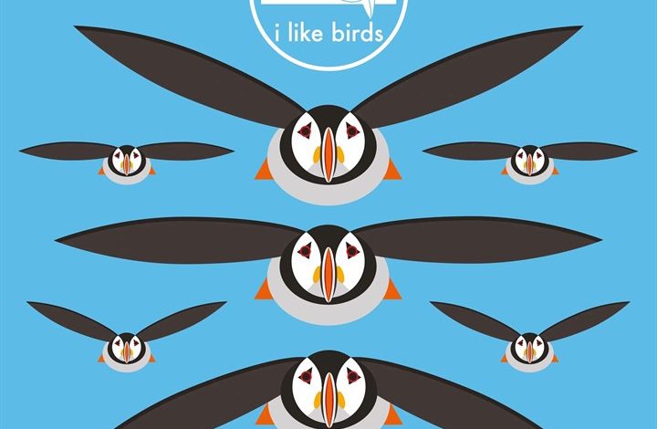 I Like Birds Calendar 2027