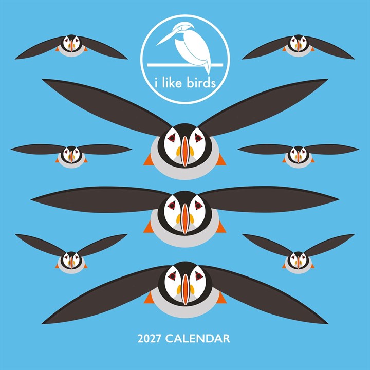 I Like Birds Calendar 2027