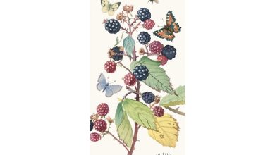 Edith Holden A Country Diary Slim Calendar 2027