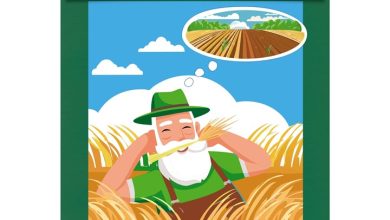 Irish Proverbs A5 Calendar 2027