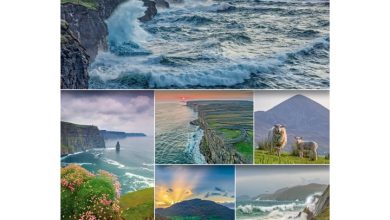 Wild Ireland A5 Calendar 2027