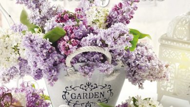 Shabby Chic Calendar 2027