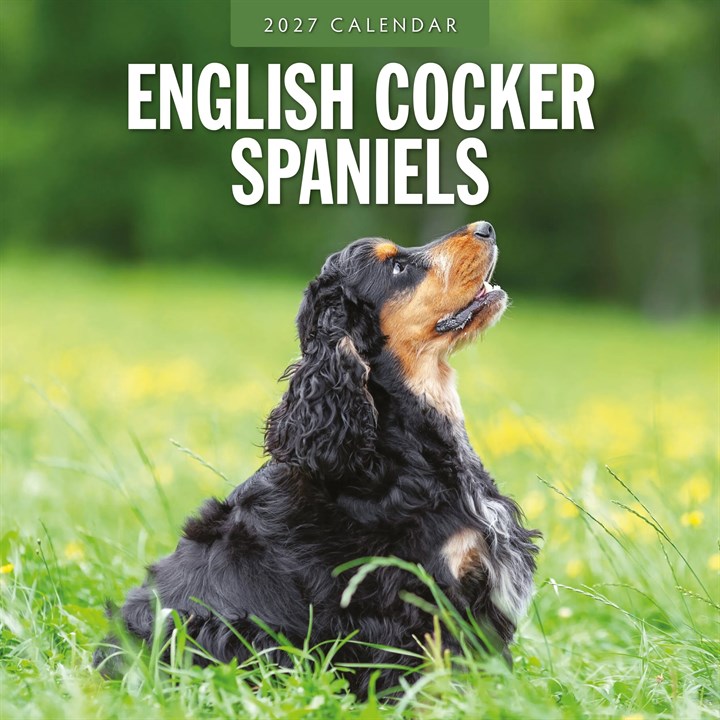 English Cocker Spaniels Calendar 2027