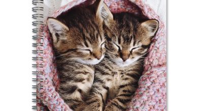 Cat Naps A5 Diary 2027
