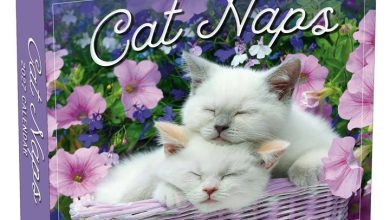 Cat Naps Desk Calendar 2027
