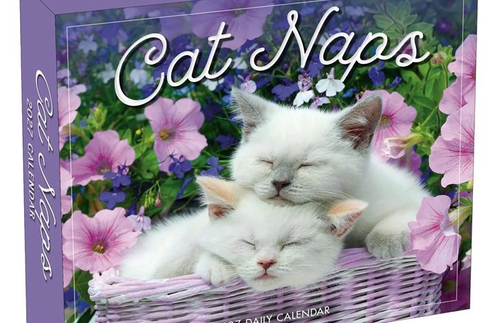 Cat Naps Desk Calendar 2027