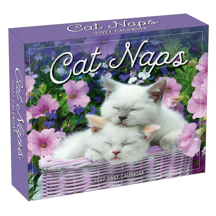 Cat Naps Desk Calendar 2027