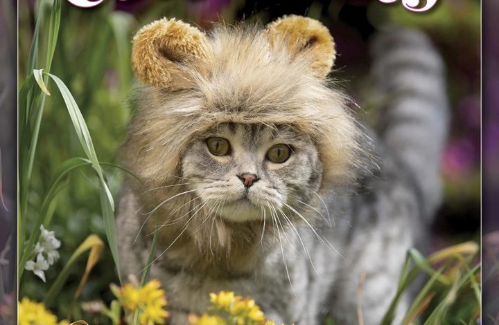 Cats In Hats Mini Calendar 2027