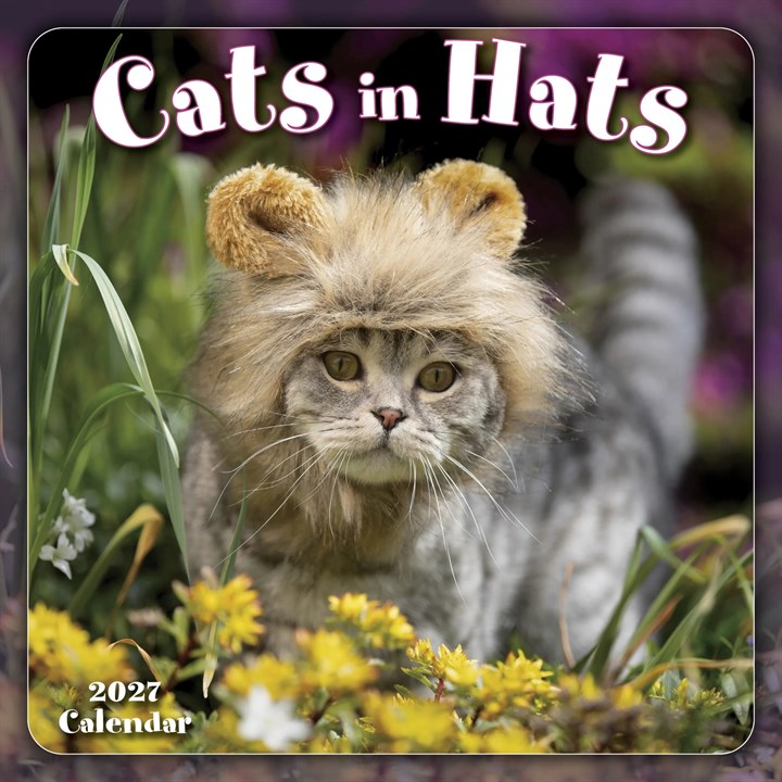 Cats In Hats Mini Calendar 2027
