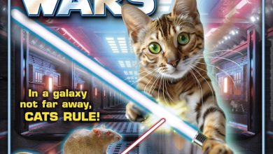 Cat Wars Calendar 2027