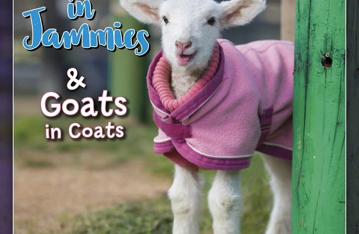 Lambies In Jammies Mini Calendar 2027