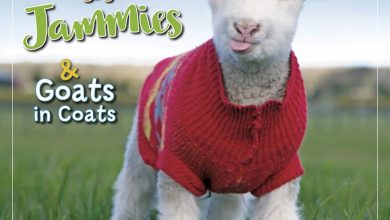Lambies In Jammies Calendar 2027