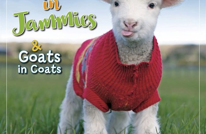 Lambies In Jammies Calendar 2027