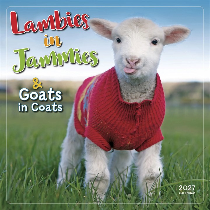 Lambies In Jammies Calendar 2027