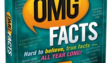 OMG Facts Desk Calendar 2027