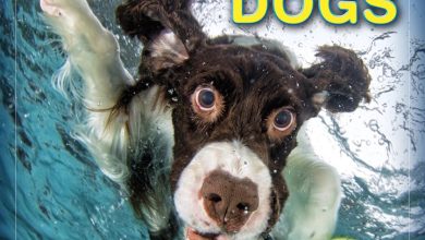 Underwater Dogs Calendar 2027