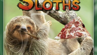 Stoner Sloths Calendar 2027