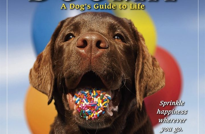 Dogma Calendar 2027