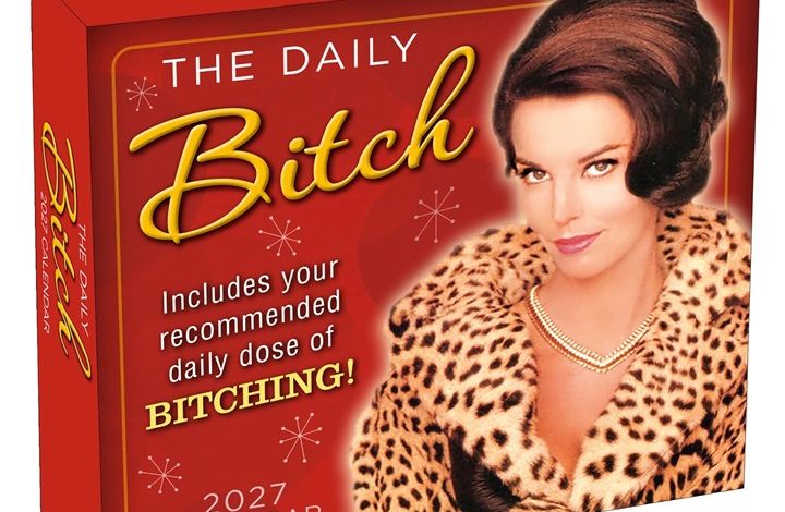 Daily Bitch Desk Calendar 2027