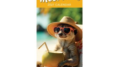 Mad Meerkats Slim Calendar 2027