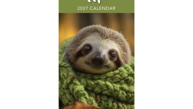 Sloth Life Slim Calendar 2027