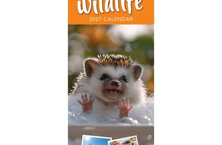 Wacky Wildlife Slim Calendar 2027