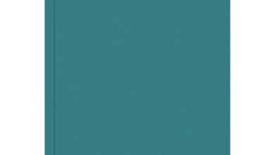Pastel Green Hardback Day To View A4 Diary 2027