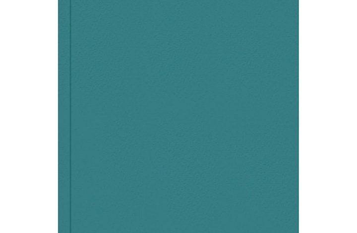 Pastel Green Hardback Day To View A4 Diary 2027