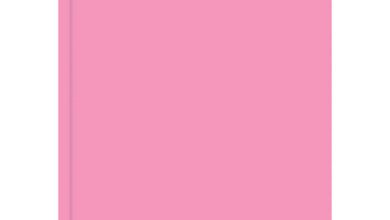 Pink Classic Academic Day To View A5 Diary 2026 - 2027