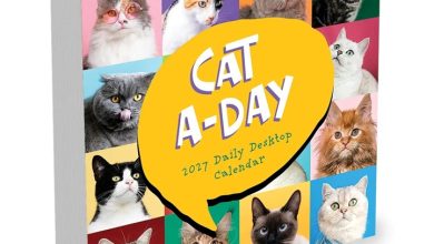 Cat A Day Desk Calendar 2027