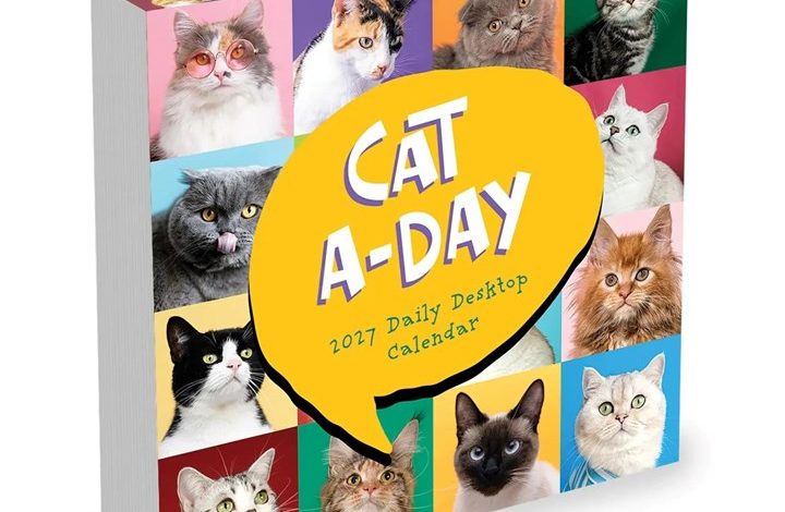 Cat A Day Desk Calendar 2027