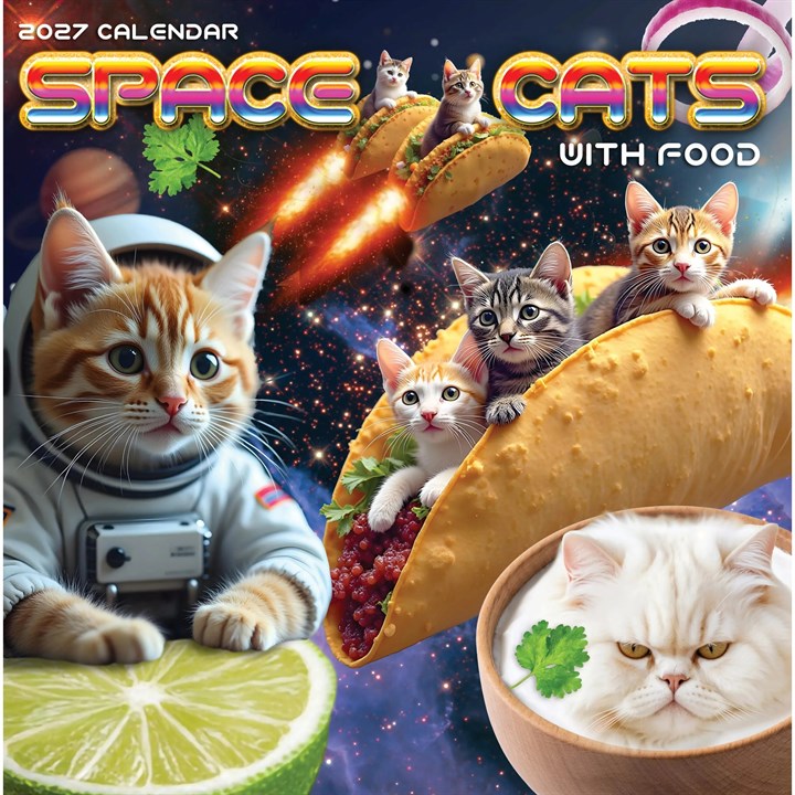 Space Cats Calendar 2027