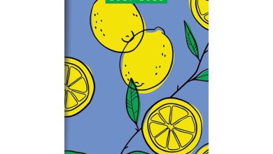 Lemon Monthy Slim Diary 2027 - 2028