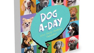 Dog A Day Desk Calendar 2027