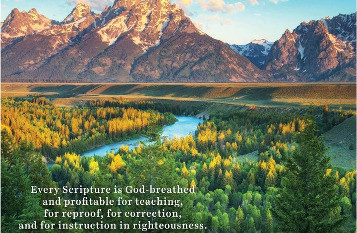 Daily Verse Calendar 2027