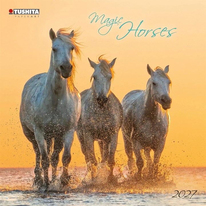 Magic Horses Calendar 2027